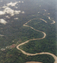 EcuadorAmazonia1.gif